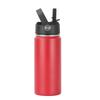 16oz 304 Stainless Steel Water Bottle, Double Wall Vacuum Insulated Sports Flask with Flip Straw Lid & Carry Handle