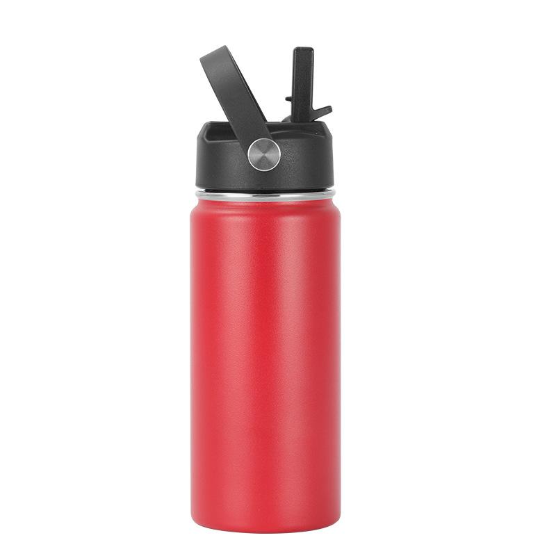 16oz 304 Stainless Steel Water Bottle, Double Wall Vacuum Insulated Sports Flask with Flip Straw Lid & Carry Handle