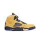 Nike Air 5 Retro SP Michigan Amarillo College Navy CQ9541-704