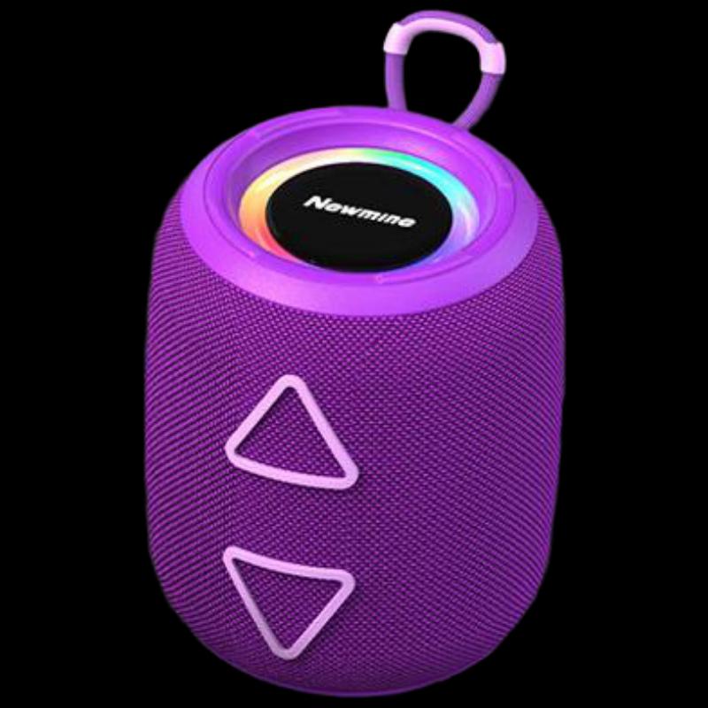 Newman BT87 Portable Bluetooth Speaker