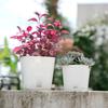 Flower Pot Multiple Holes Trays Succulent Planter Indoor Plants Pots Drain Breathable Case Home Bonsai Decoration