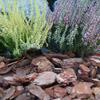 Fine Pine Bark Garden Mulch Substrate, 0