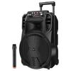 Newmine N509 Portable 12-inch Bluetooth Trolley Speaker (CN Version)