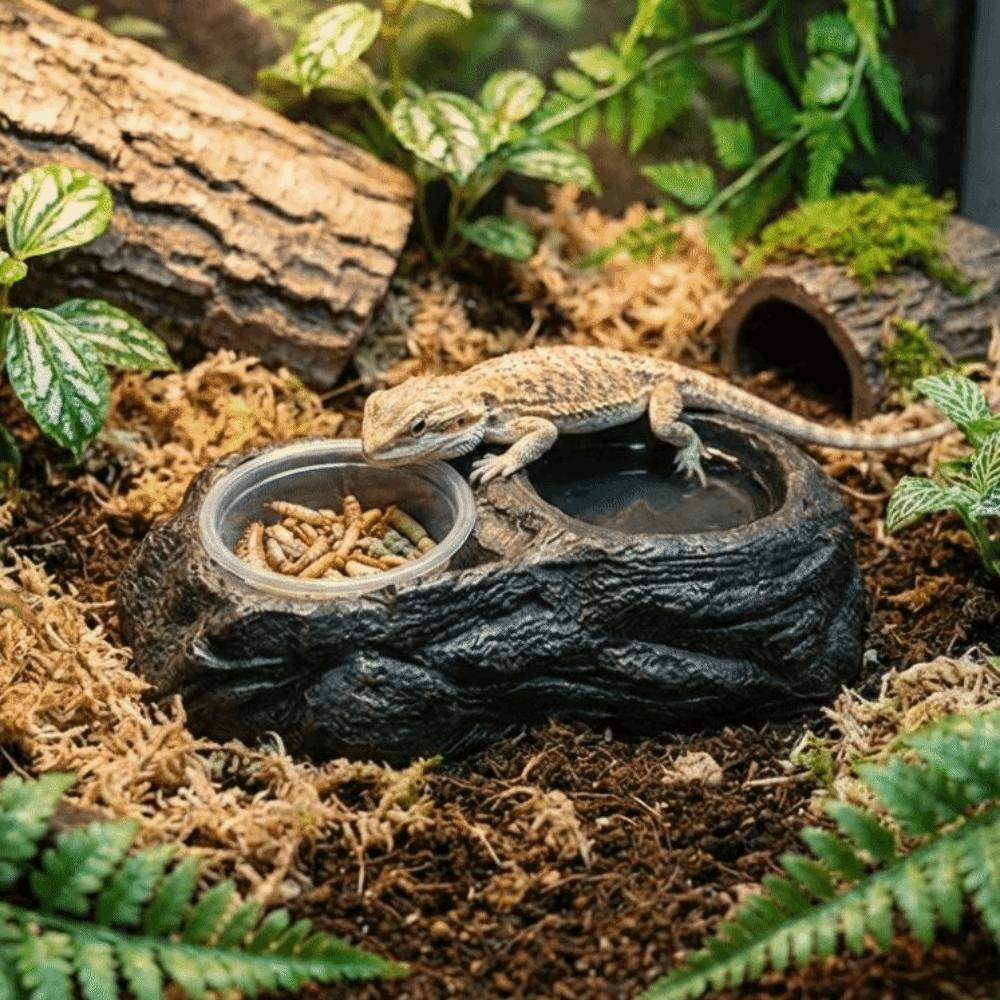 Imitation Stone Resin Rock Feeder Dish Wear Resistant Anti-knock Reptile Food Bowl with Bowls Wide Mouth Pet Feeder Ledge