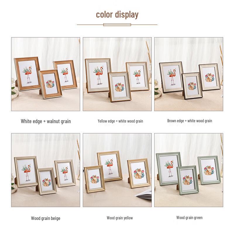 Changbaosen 10-inch European Style Photo Frame