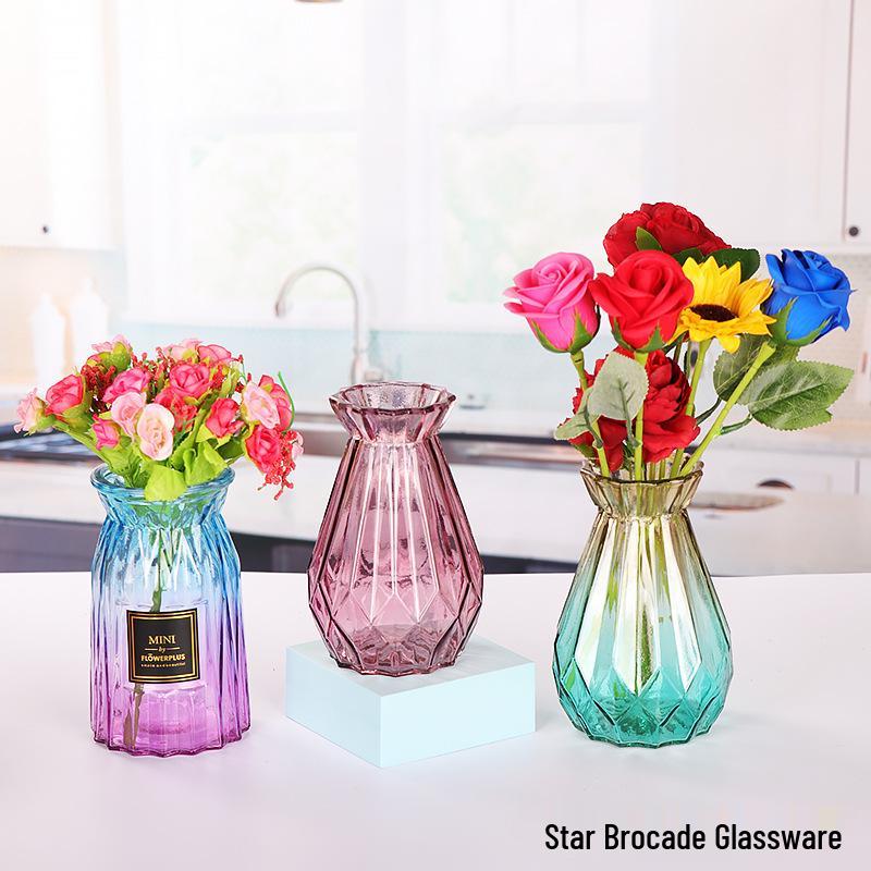 European Glass Vase for Fresh or Dried Flowers - Simple, Creative Home Decor Ornament