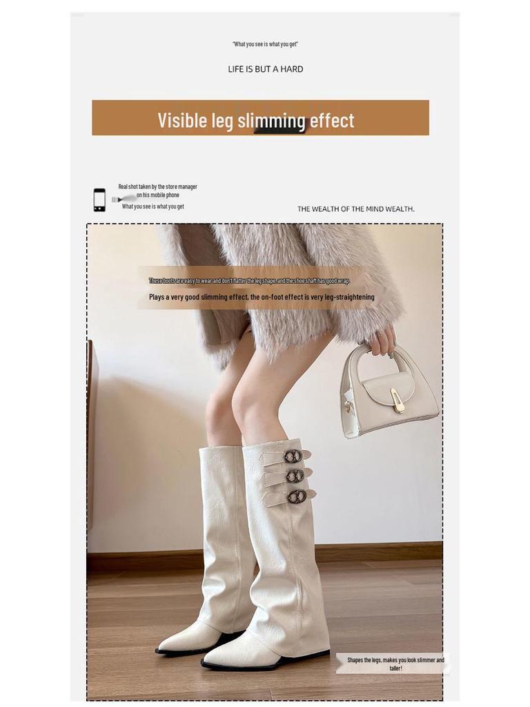 French Pointed Toe Thigh-High Wedge Heel Boots - Women's Elevated Pant Boots for Autumn/Winter Fashion, Over-the-Knee Wasteland Style.