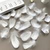 4-8Cm Feathers Decoration White 100Pcs Plumas For Crafts Small Bulk Goose Chicken Dream Catcher Making Massage House Piume Salon