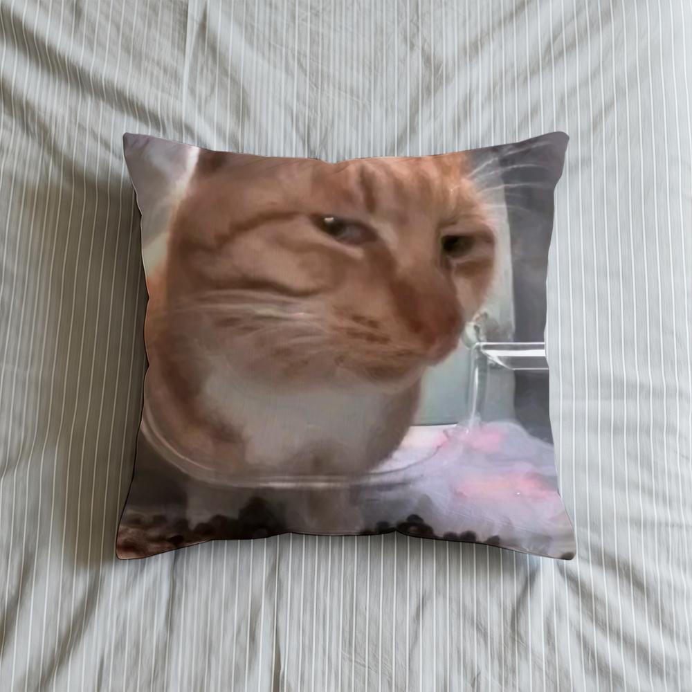 Cushion Cover Soft Meme Case Funny Sofa Living Room Home Comfortable Office Decor Cat Protective Pillow