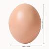 6PCS Artificial Egg Boxes-Perfect for Chicken Coop Decoration and Farm Animal Supplies,Cage Accessories,Nest Guide,Egg Ornaments