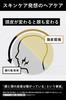 Bulk Homme Men's Shampoo & Treatment & Scalp Serum Hair Care 3-Piece Set