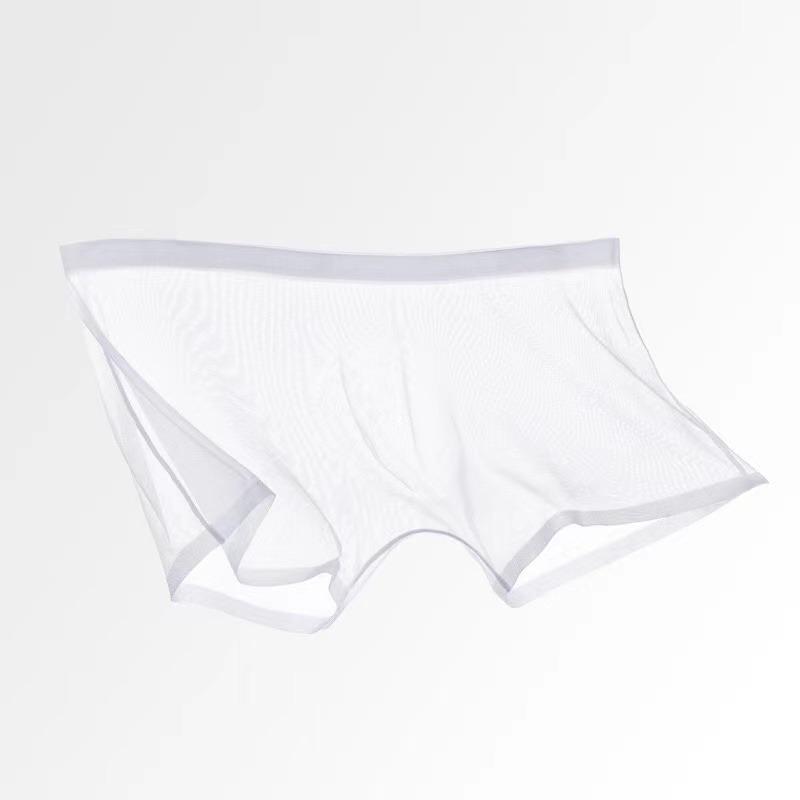 Pánské spodní prádlo Transparentní boxerky Bulge Ice Silk Průhledné spodky Sexy kalhotky Kalhotky s nízkým pasem Spodní prádlo Intimky