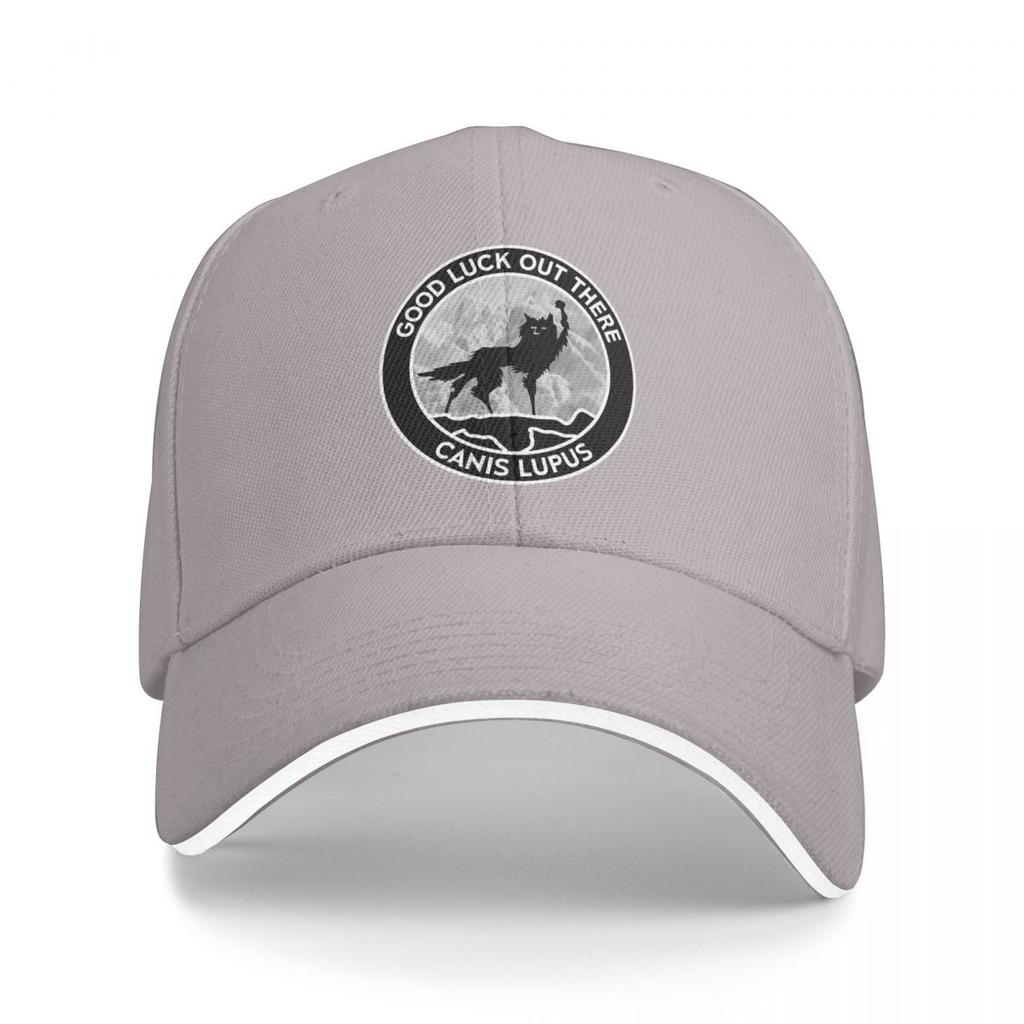 Unisex Baseball Hats Fantastic Mr Fox Fill Outdoor Streetwear Summer Sports Baseball Caps Hip Hop Cap Casquette