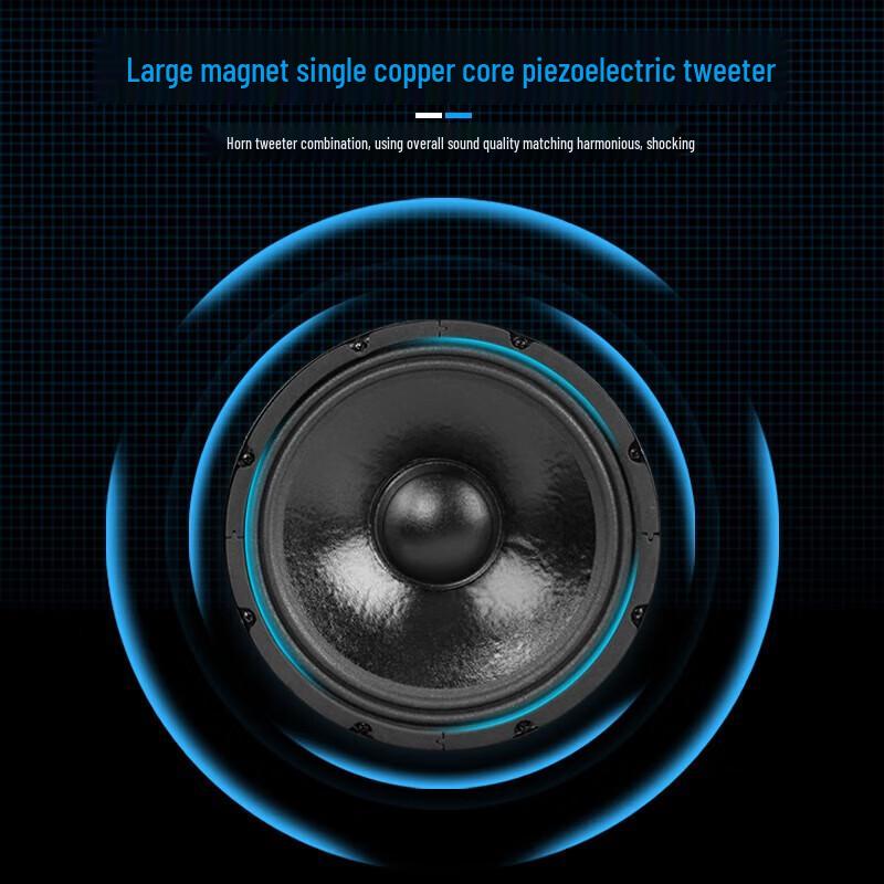 SAST KP10V 10-inch Professional Passive Stage Speaker Pair