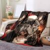 1Pc Cartoon Print Flannel Blanket, High Quality Comfortable for All Seasons, Home Decor, Warmth and Comfort, Perfect for Christmas Birthday Gift