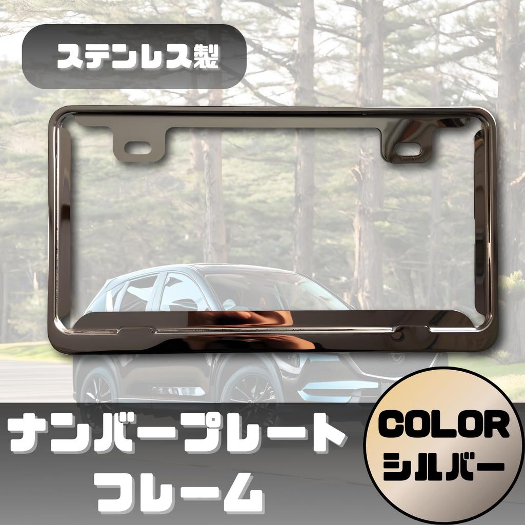 ENN LLC Stainless Steel License Plate Frames, Set of 2, for Standard and Light Cars (Silver)