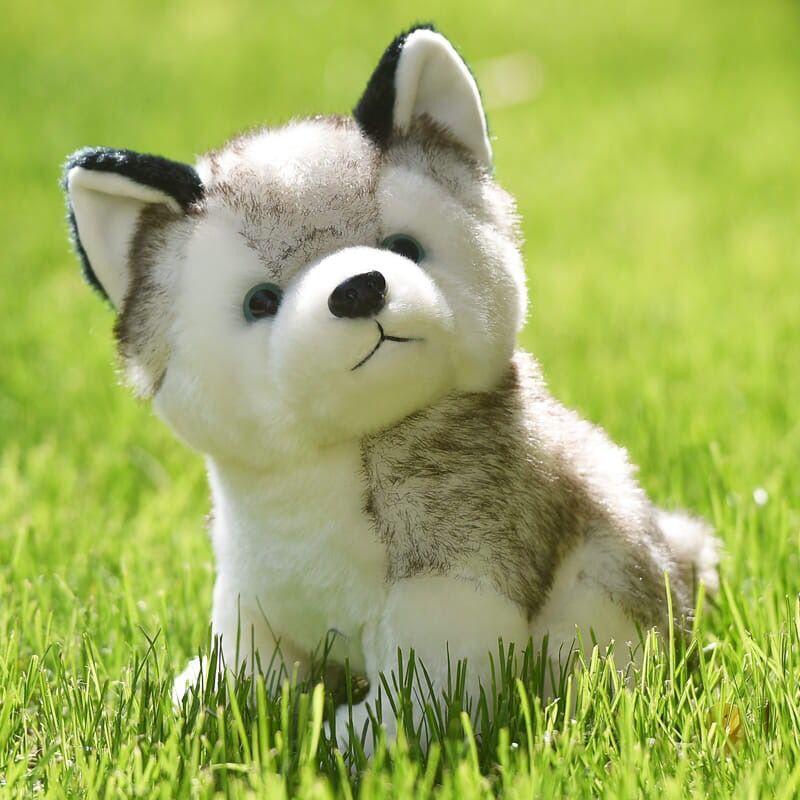 Simulation husky plush toy children's doll birthday gift doll machine doll company event gift
