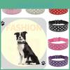 Trendy Pet Collar Necklace With Mushroom Rivets Adjustable And Stylish