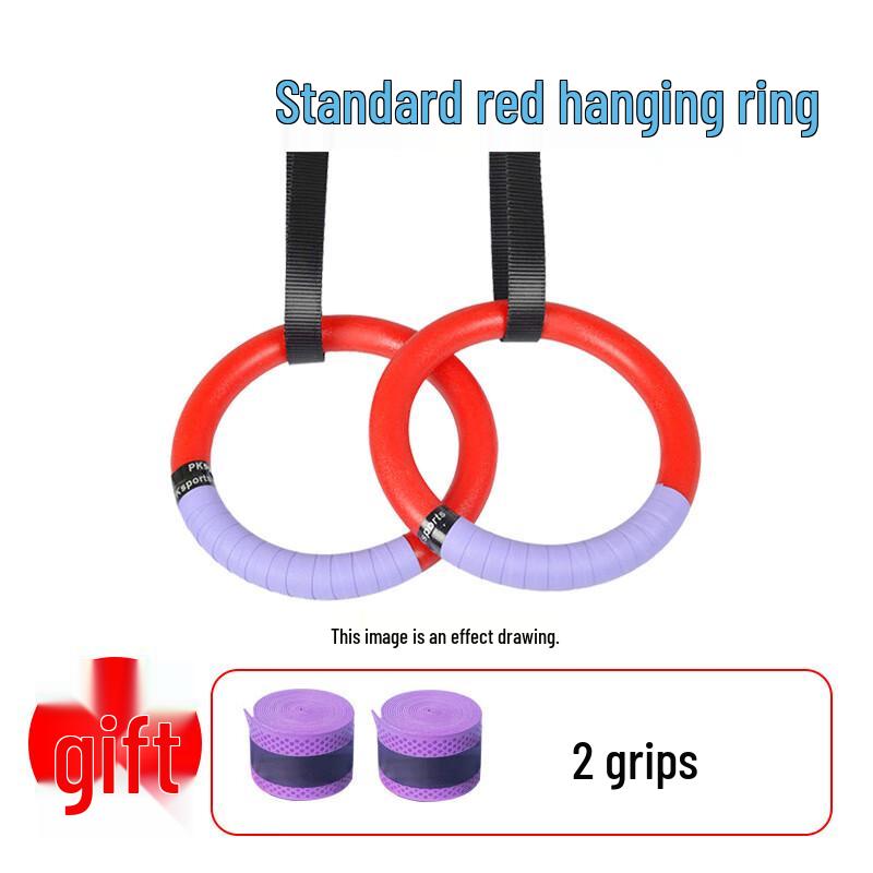 Jinxun Indoor Wall-Mounted Pull-up Bar with Gymnastic Rings