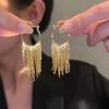 1 Pair Tassel Earrings, Long Temperament Earrings, Versatile And Fashionable Ear Accessories