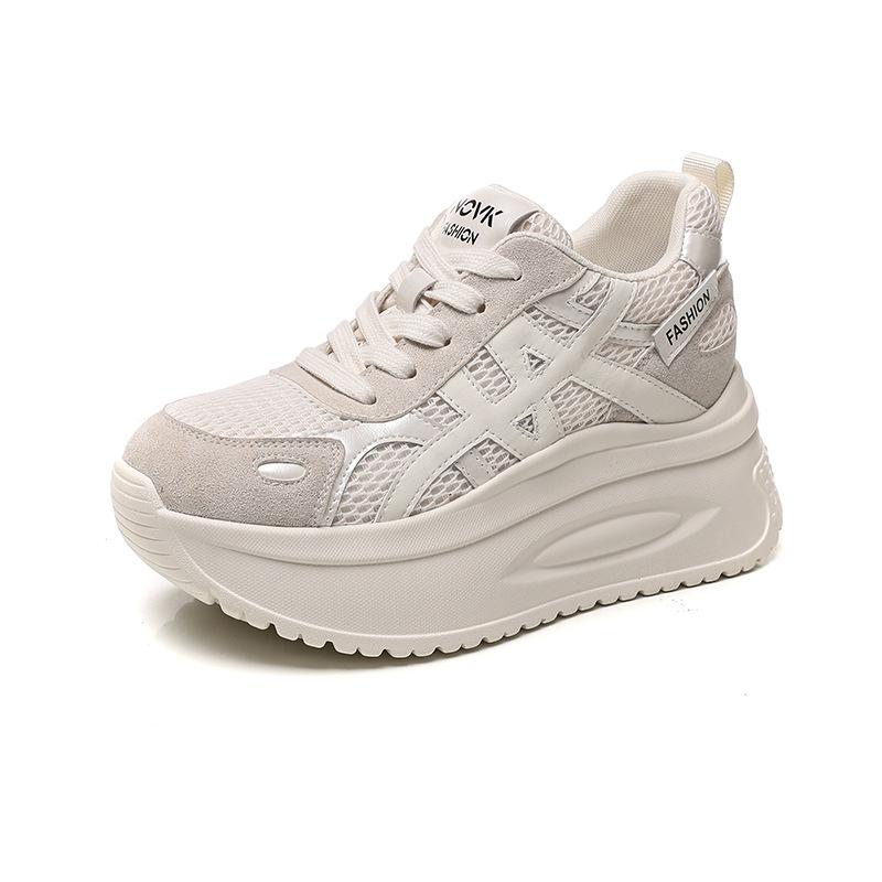 Anti-velvet Dad Shoes Autumn New Shoes Women's Shoes Versatile Casual Heightening Shoes Platform Running Sneakers