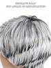 Perruque courte argentée grise dégradée de 4 pouces pour femme avec frange pour usage quotidien et fête(Gris Mix Noir)