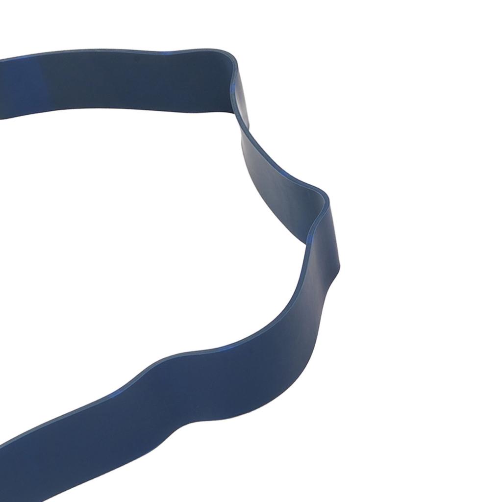 Exercise Band Blue Latex 65 To 175lb Elastic Exercise Loop for Workout Fitness Pull Up Training 64mm