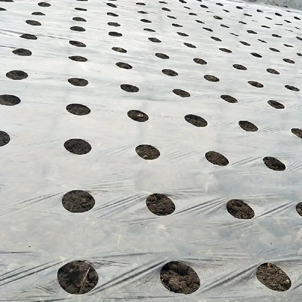 With Holes Planting Plastic Mulch Film Thermostatic Grow Film New Mulch Film for Eggplant Planting