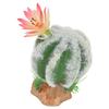 Artificial Cactus Plants Decoration High Simulation Desert Reptile Decoration for Terrarium