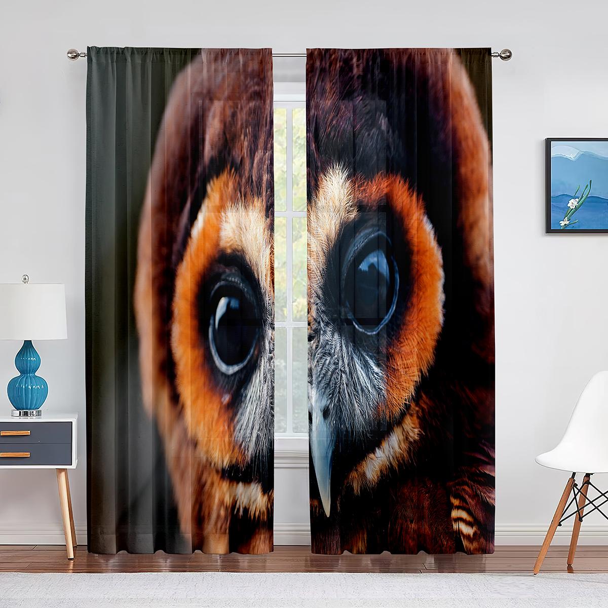 Мультяшные цветные совы — фото 7