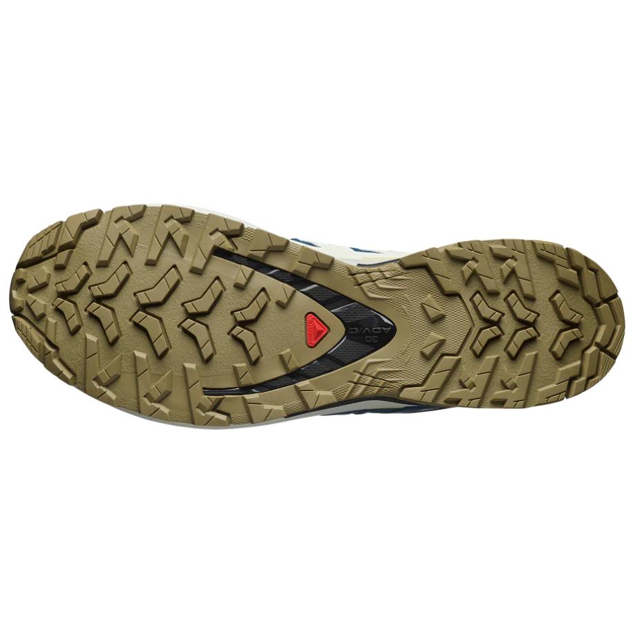 SALOMON XA Pro 3D V9 GTX Comfortable Slip-Resistant Durable Waterproof Low-Top Outdoor Functional Shoes Men Shoes Blue 478174