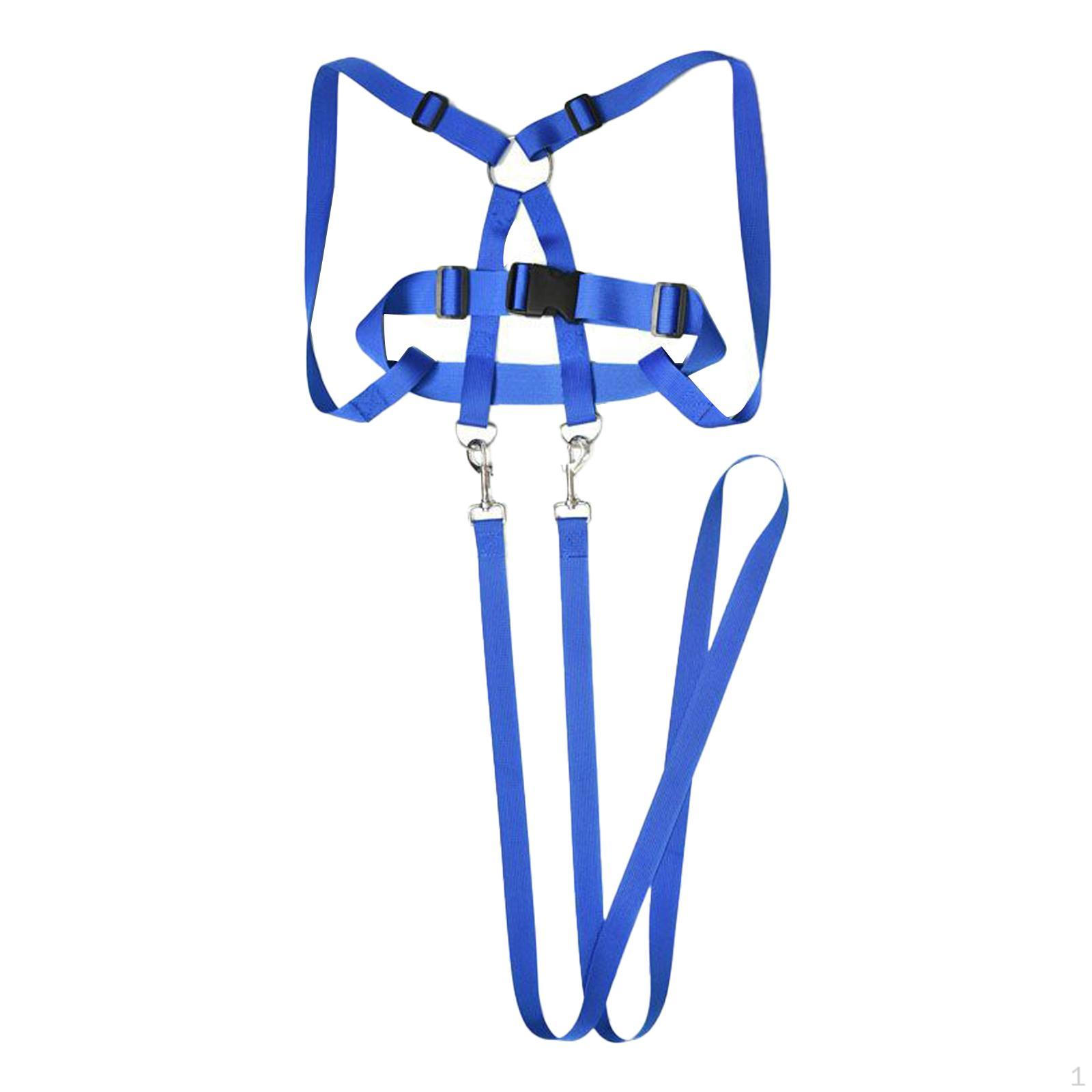 

Ремни безопасности для детей на открытом воздухе синий