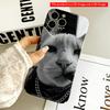 Gangster Cat with Chain & Bandana All Inclusive Film Hard Phone Case, Compatible with iPhone 18 Pro Max 17 16 15 14 13 12 11