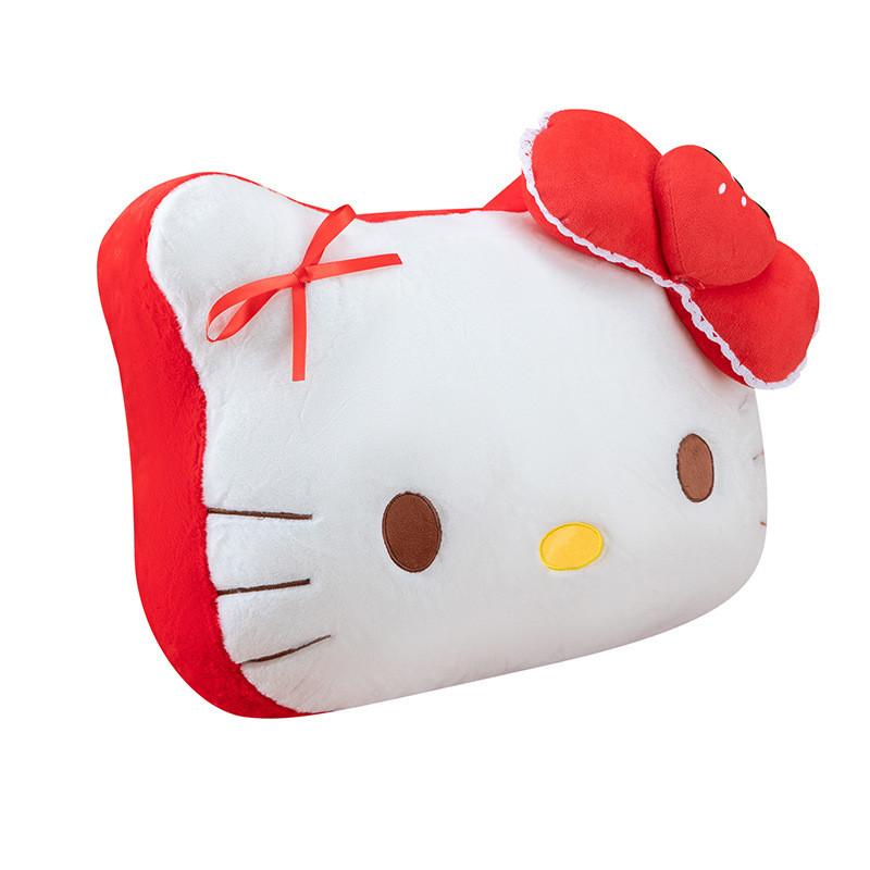 Plush Pillow With Pp Cotton Filling For Gift For Teens And Kids