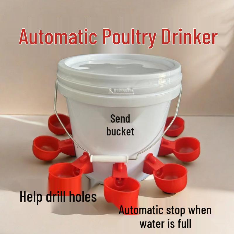 Automatic Drinking Bowl for Poultry: Chicks, Ducks, Geese, Pigeons, Quail, and Chickens