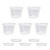 Plastic With Holes And Trays Plant Pots For Phalaenopsis Orchid Planting Flowerpot Orchid Pot
