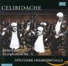 Muzikos albumai