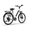 URLIFE 26" Electric Bikes for Adults, Mountain Bike with LCD Display, Removable Battery 250W Powerful Motor, 7-Speed Derailleur 80KM Max Range Ebike 