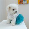 Katzen Kostüm Hochzeitskleid Kleiner Hund Rock Schmetterling Spitze Kleid für Katzen Hunde Fotografie Formeller Anlass Haustier Kostüm