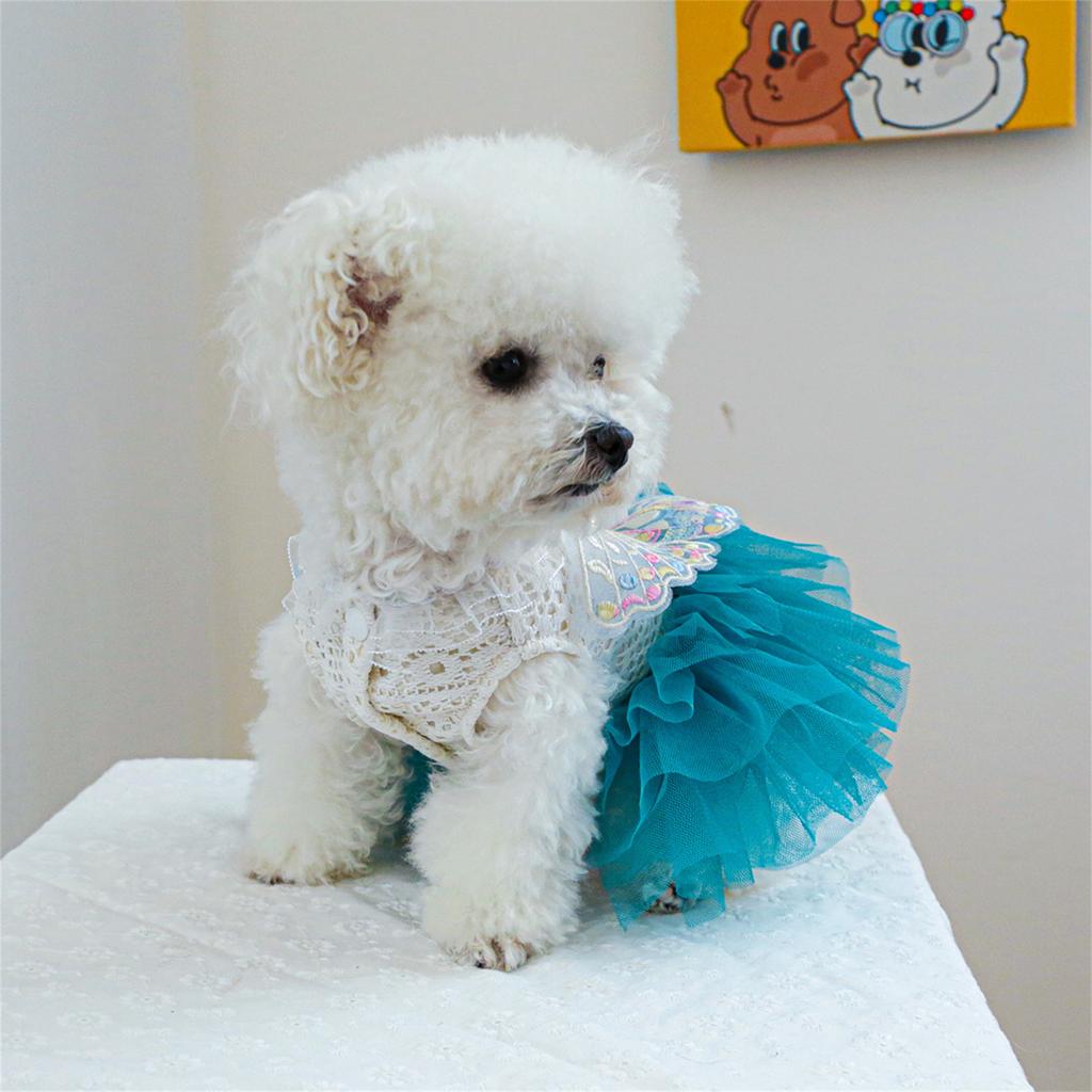 Katzen Kostüm Hochzeitskleid Kleiner Hund Rock Schmetterling Spitze Kleid für Katzen Hunde Fotografie Formeller Anlass Haustier Kostüm