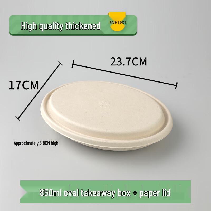 

Disposable Pulp Lunch Box Set