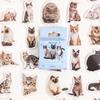 45PCS Cat Stickers with Cats Stickers for Scrapbooking Cute Sheet Stickers Set ETTZ02