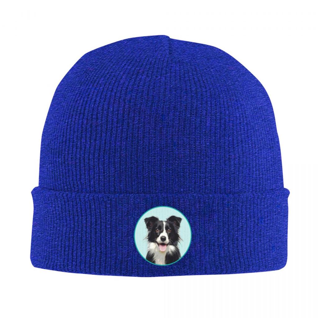 Cute Border Collie Dog Warm Knitted Cap Winter Knit Bonnet Hat Skullies Beanies Hip Hop Caps for Unisex