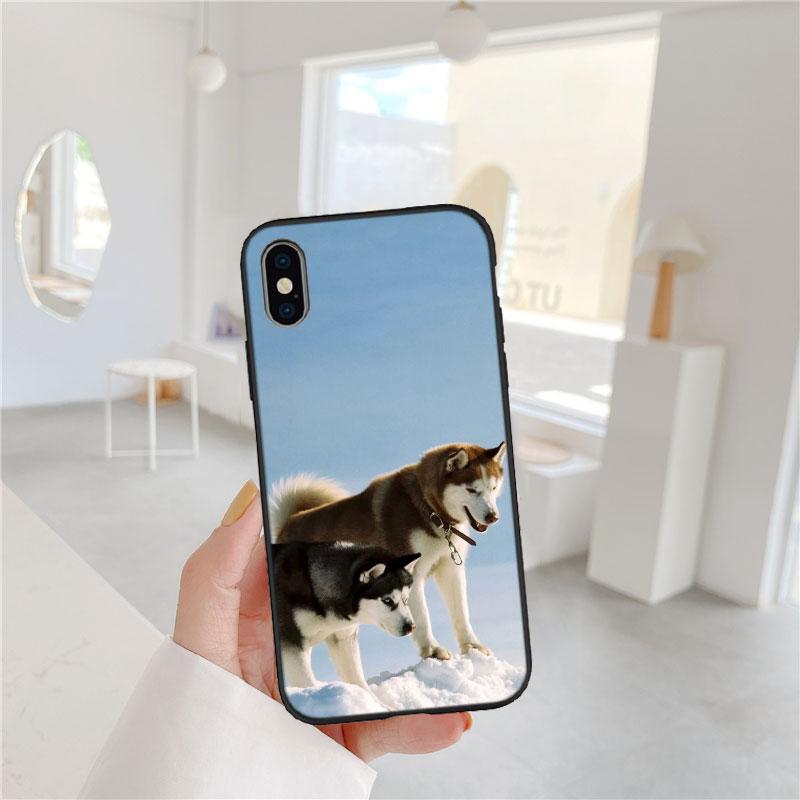 LO53 Husky Puppy Dog Soft Shell Phone Case for iPhone SE X XS XR 11 16E 17 Pro Max Air 8 7 6 6s Plus