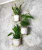 Gold Wall Flower Stand for 3 Pots, Metal Flowerpot Stand, Wall Decoration for the Living Room, Hanging Flower Holder