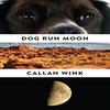 Dog Run Moon by Callan Wink Paperback Book 9781847088147