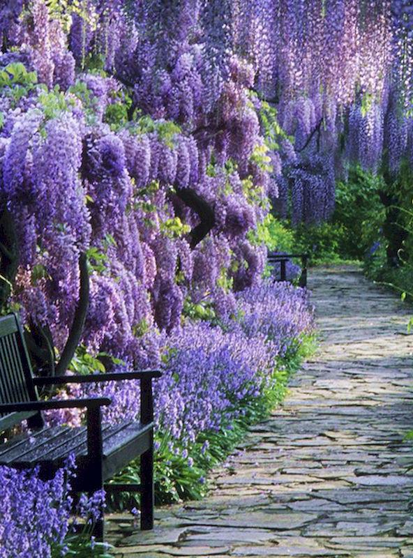 Kwiaty Krajobraz Malowanie Diamentami Wisteria 5D Pełne Wiertło Haft Diamentowy DIY Mozaika Haft Krzyżykowy Art Dekoracja Domu Prezent