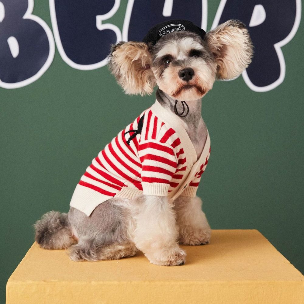 Pet Accessories Fashion Beret Decorative Hat Solid Round Hat Outdoor Shooting of Small Cat Dog Doll Hat Beautiful Head Ornament