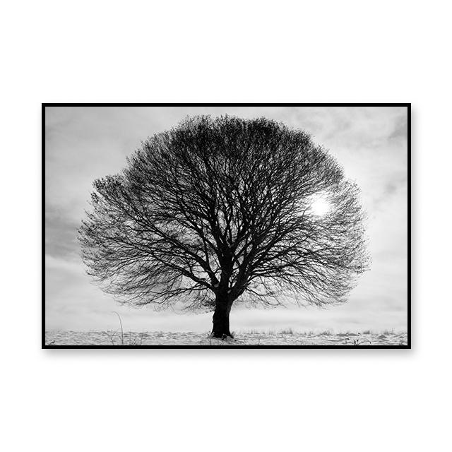 

Черно-белое дерево Холст Плакат Вдохновляющая картина Художественная живопись Гостиная Украшение Фреска для домашнего декора стены Эстетическая 21cm×30cm NoFrame