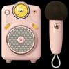 Divoom Fairy Bluetooth KTV Speaker